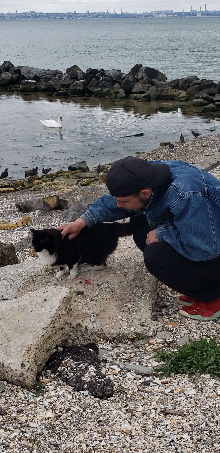 ���������� ������, ���� ������� �����, 29 ���, ������������ ��� ������, ����� � ���������, c�������� ���������, ���������