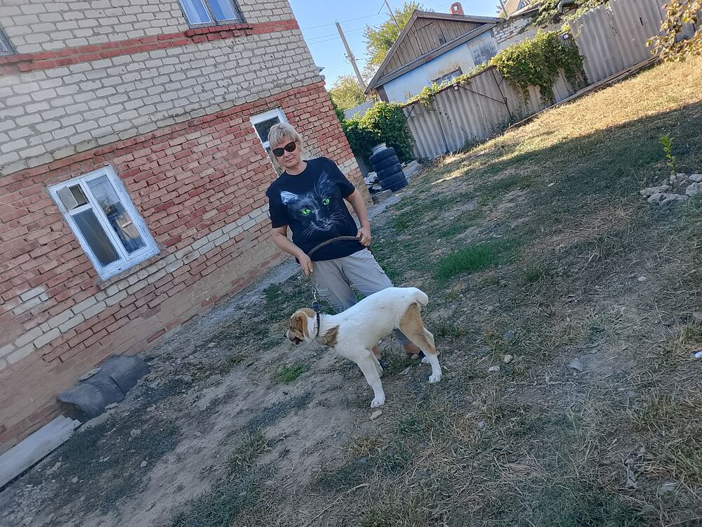  --,   , 56 ,   ,   
