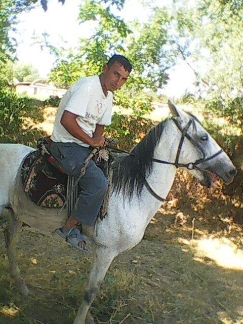  ,   , 46 ,   ,   , c , 