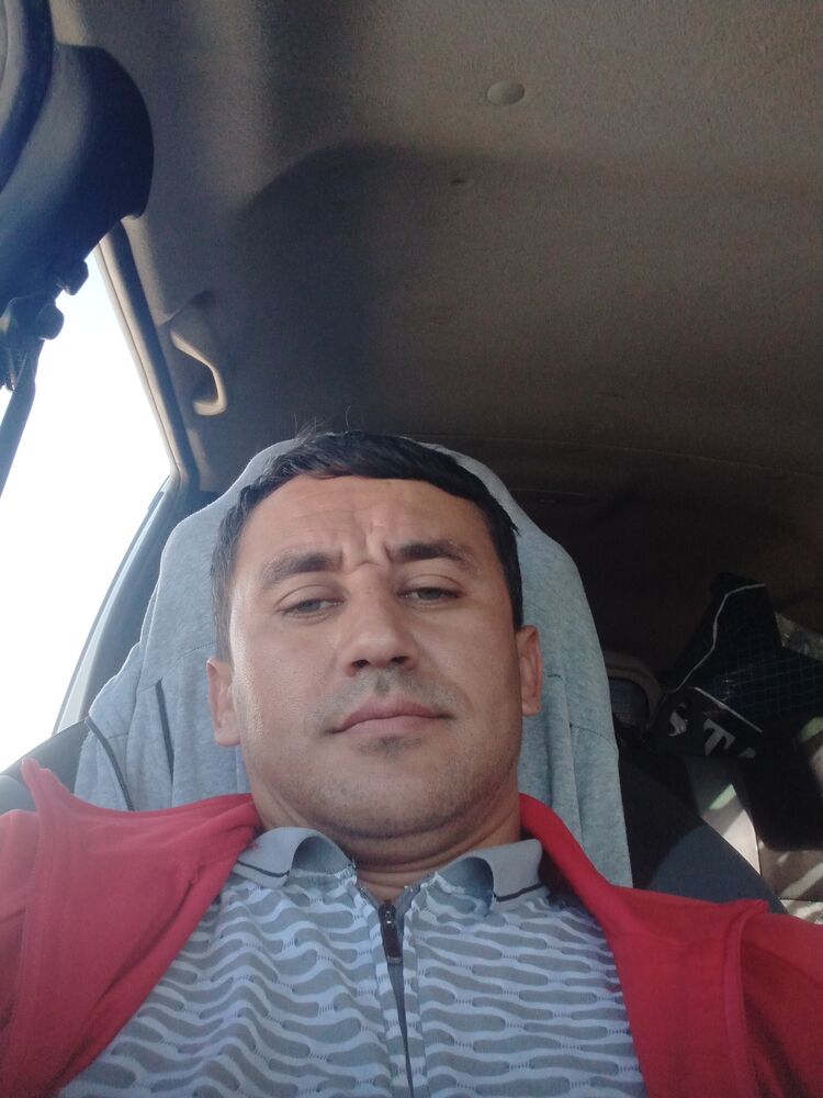  37544245  , 36 ,    -