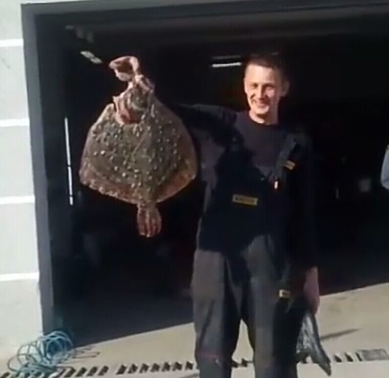 ���������� ����, ���� ������� Mikle, 38 ���, ������������ ��� ������, ����� � ���������