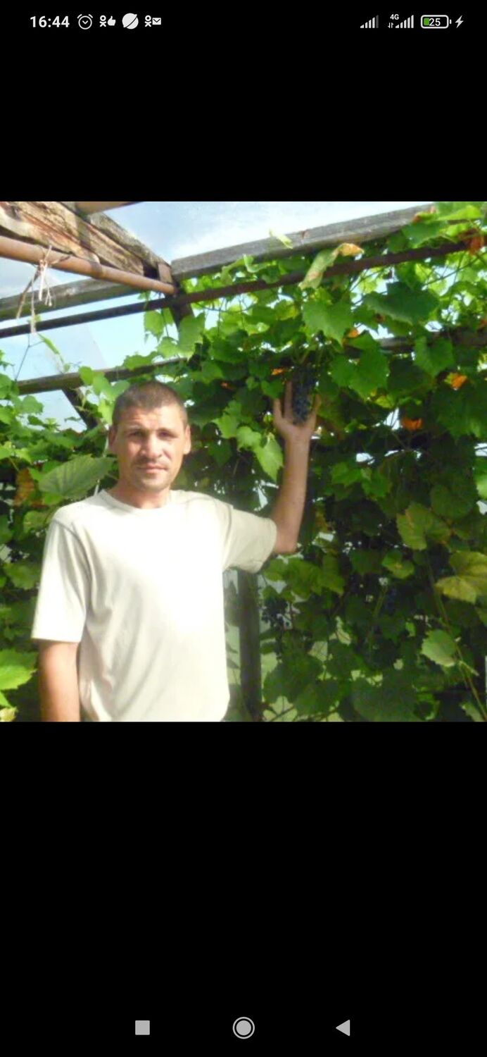 ���� 25285075 ������� ����, 44 ����, ���� ���������� � ��������