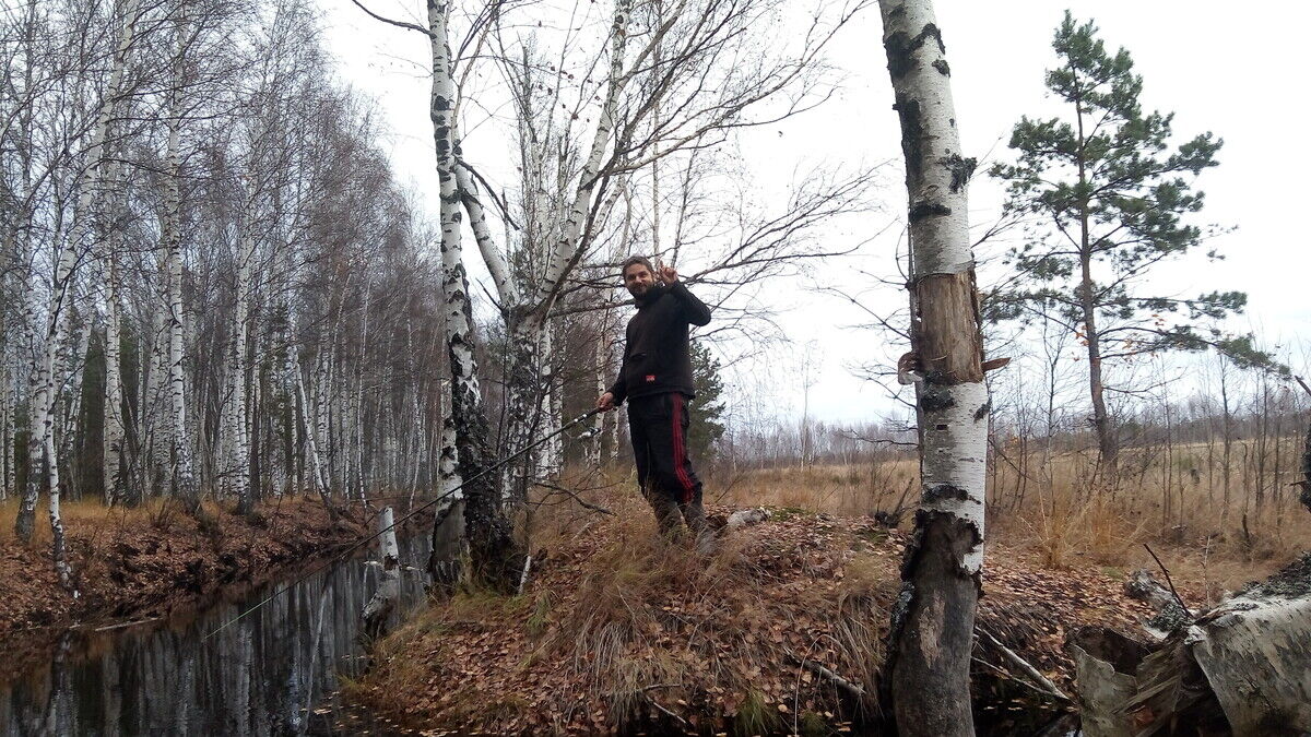 ���������� ������, ���� ������� �������, 40 ���, ������������ ��� ������, ����� � ���������, c�������� ���������