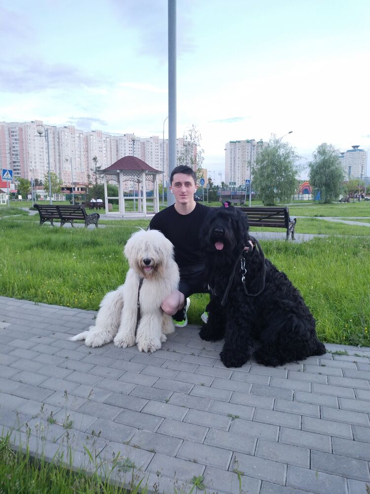 ���������� ������, ���� ������� �����, 28 ���, ������������ ��� ������, ����� � ���������, c�������� ���������