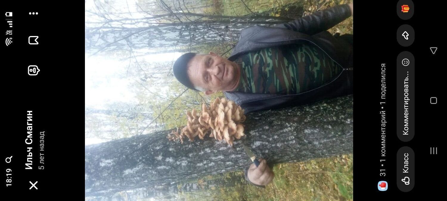 ���� 55125075 ������� ����, 60 ���, ���� ���������� � ����������