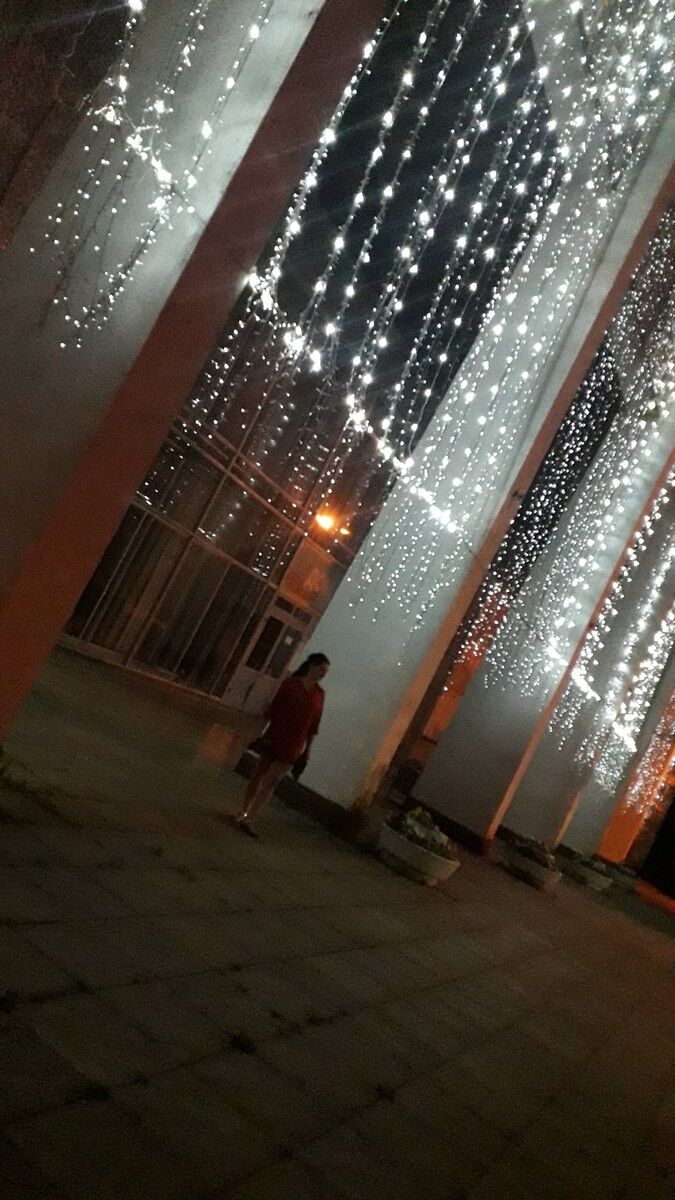 17954075  , 38 ,    