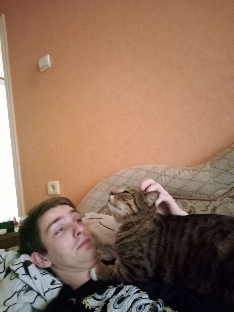  52611905  , 23 ,    --