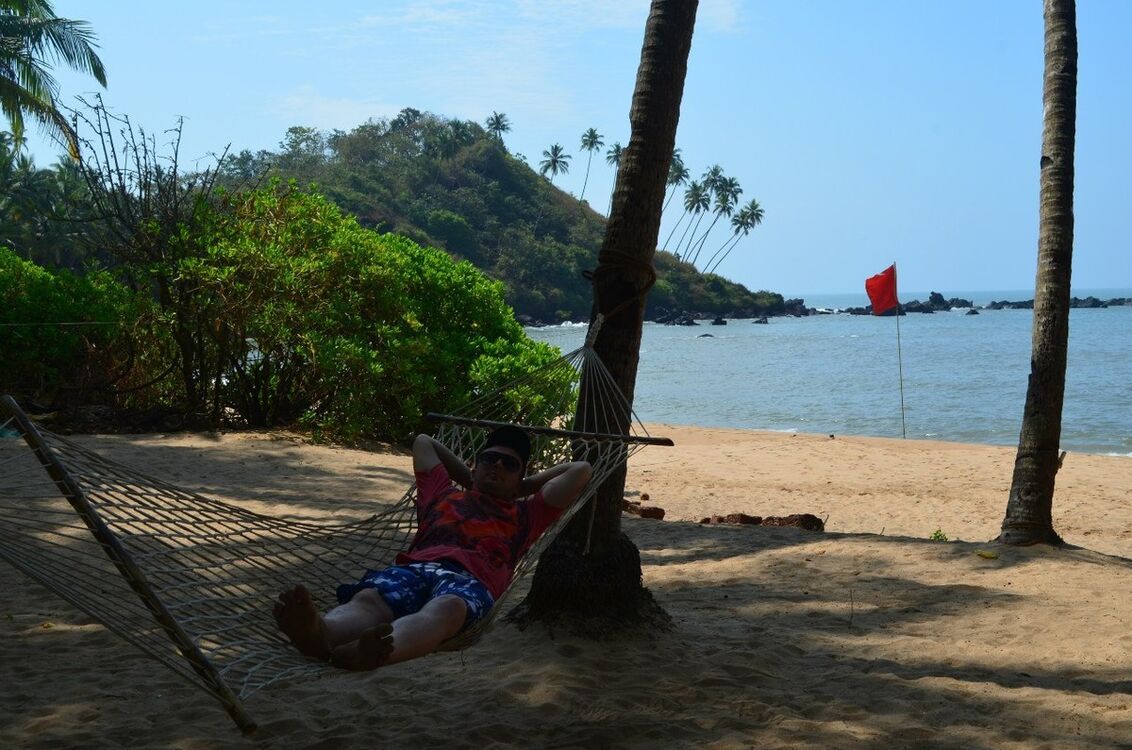 ���������� ���������, ���� ������� ���������, 41 ���, ������������ ��� ������, ����� � ���������, c�������� ���������