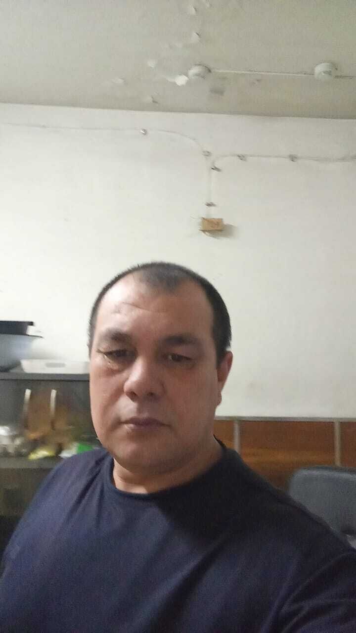 50616725  , 44 ,    