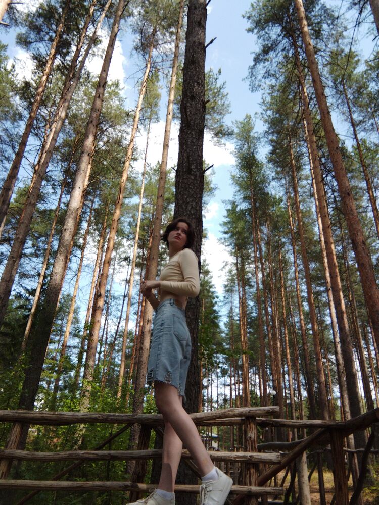  28511495  , 23 ,    -