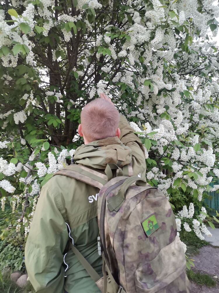 ���� 35163005 ����� ������, 22 ����, ���� ���������� � ��������