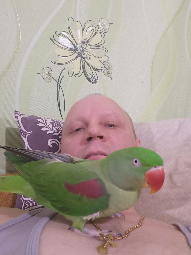  ,   , 47 ,   c 