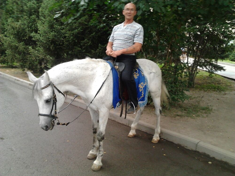  -,   , 56 ,   