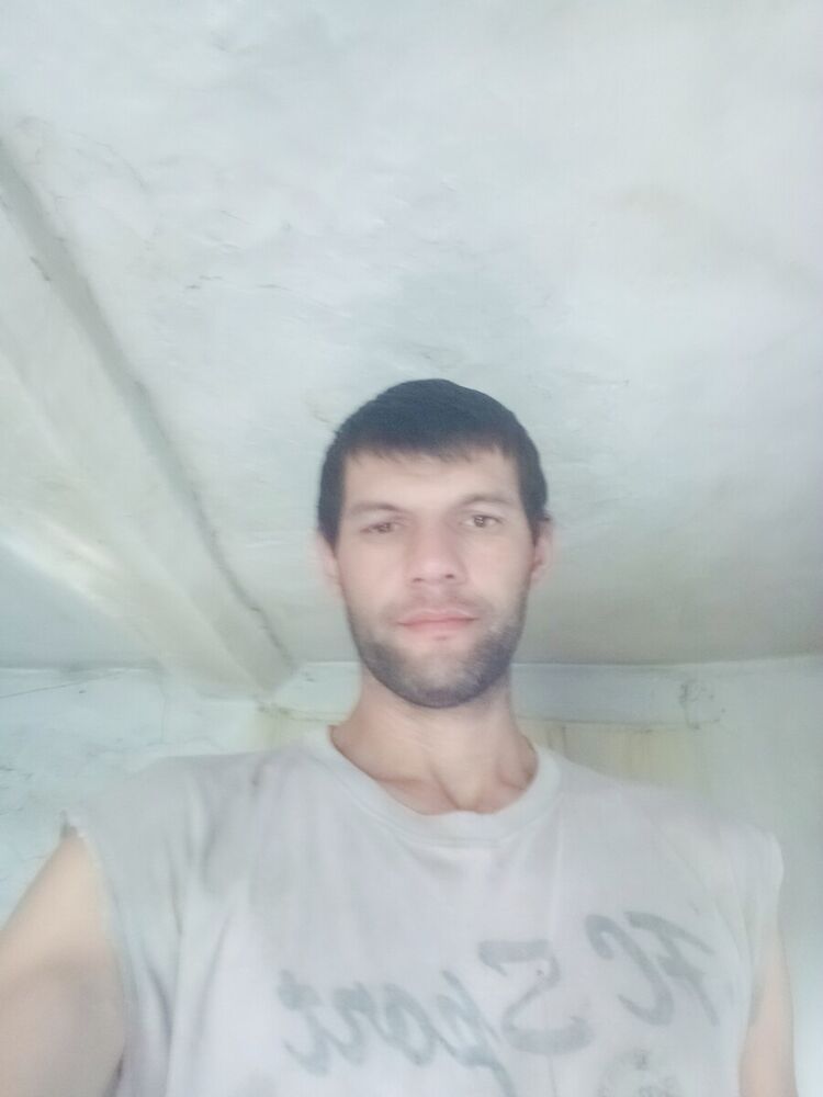  20920595  , 43 ,    