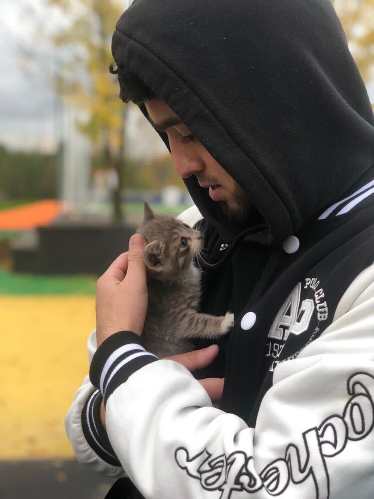 ���������� �����-���������, ���� ������� ����, 28 ���, ������������ ��� ������, ����� � ���������, c�������� ���������, ���������