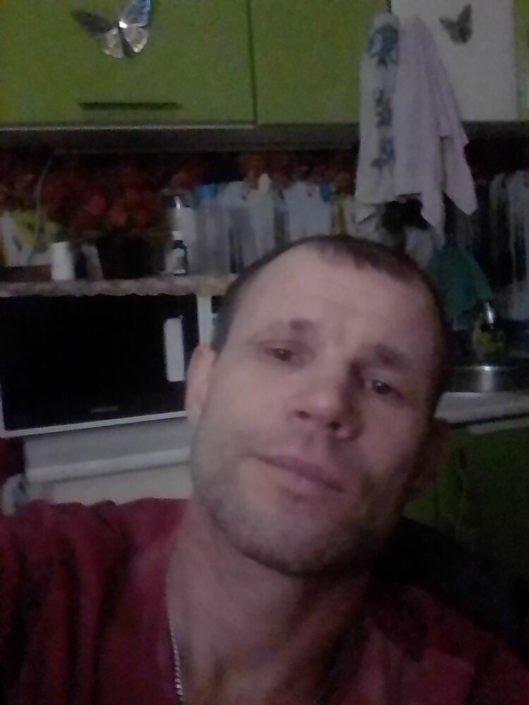  24528355  , 40 ,    