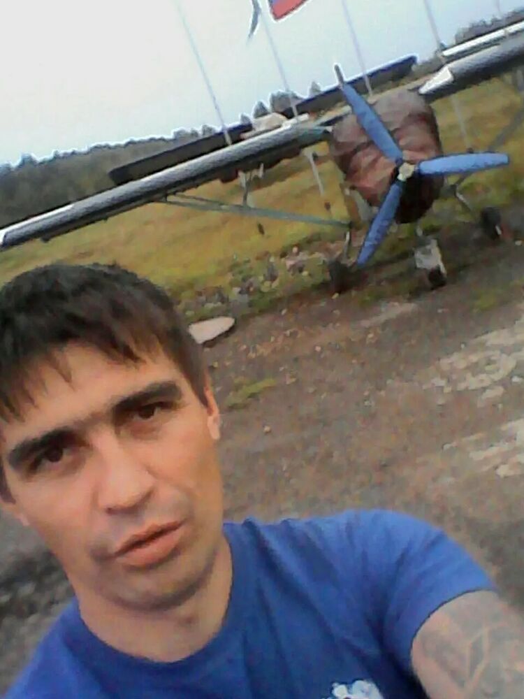  29290805  , 41 ,    
