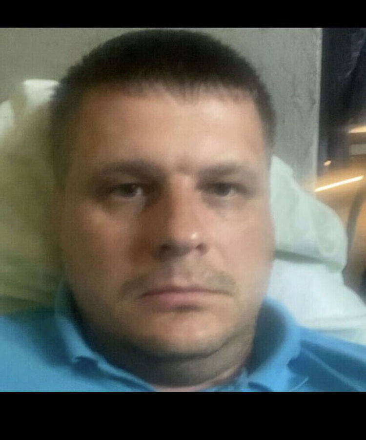  31586535  , 43 ,    