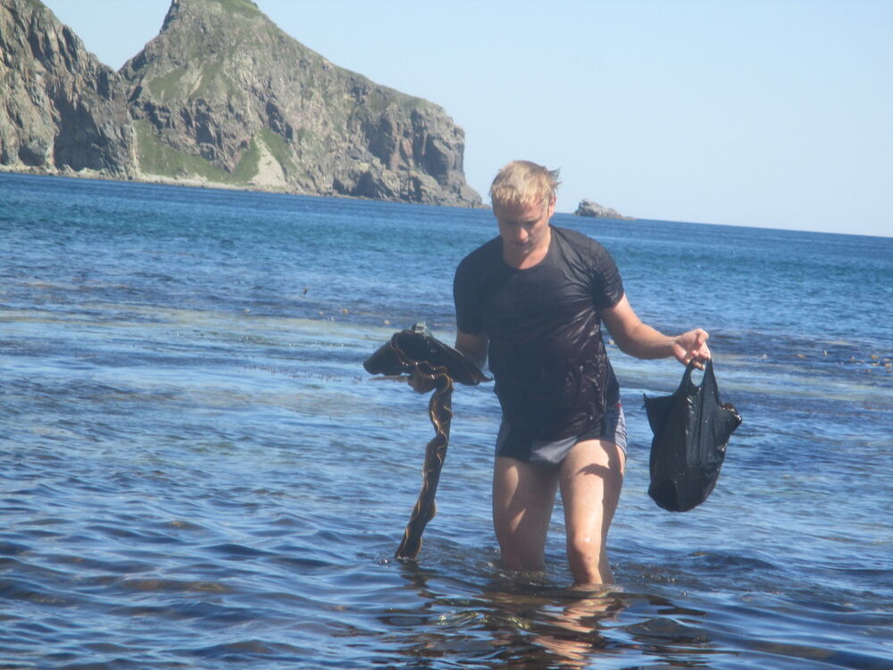 ���� 8142555 ������� VJycnhbkj, 29 ���, ���� ���������� � �������������