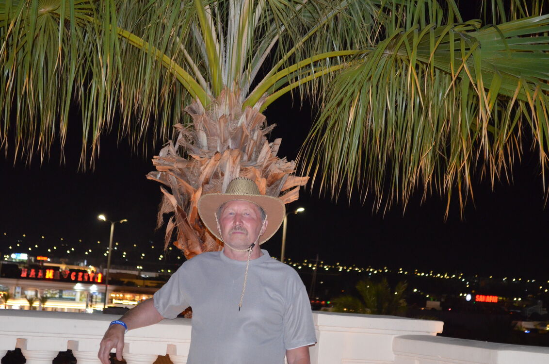 ���� 55986685 ������� ������, 67 ���, ���� ���������� � �������