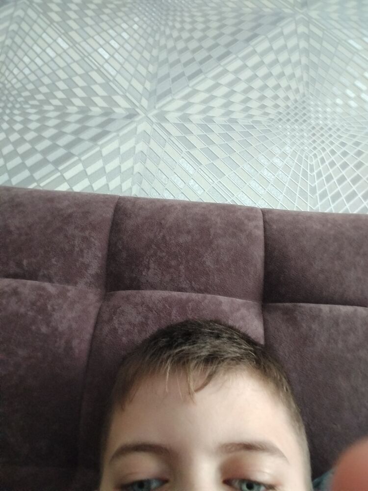  44675015  , 22 ,    