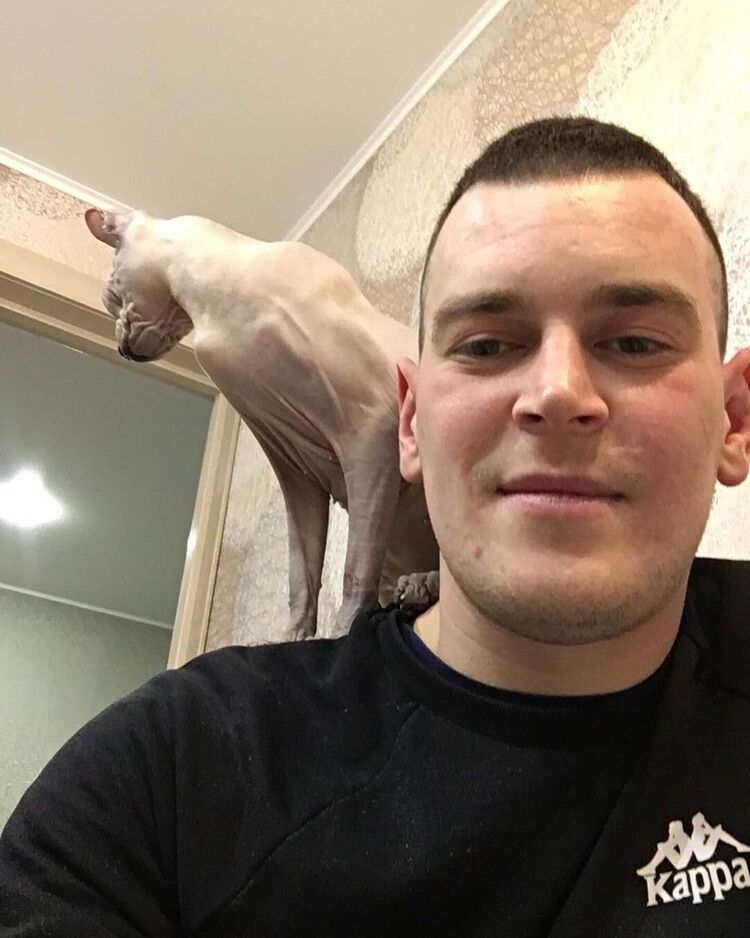  ,   , 29 ,  
