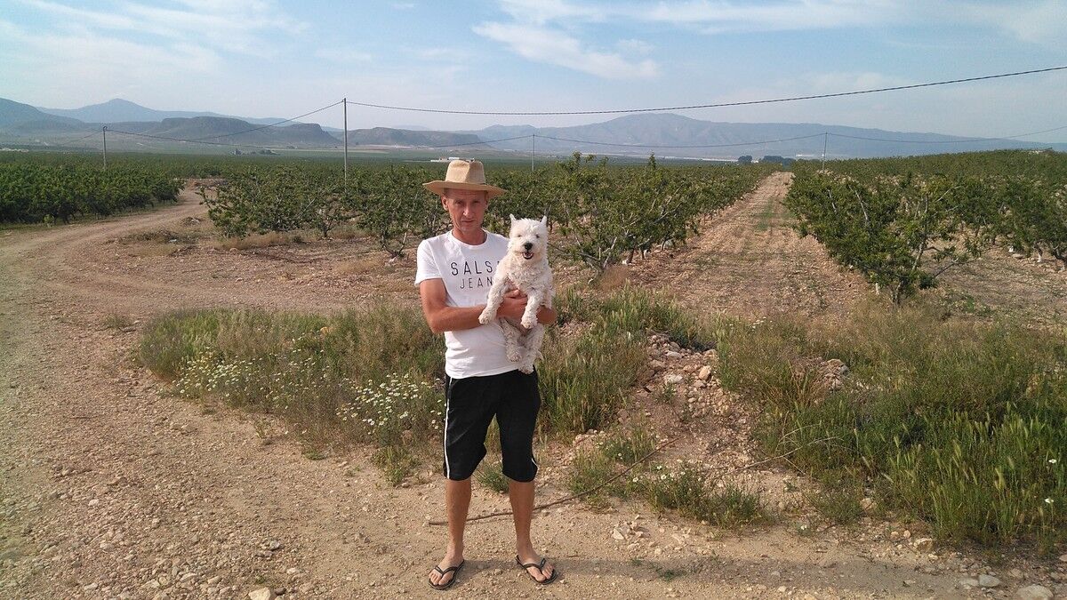  Alzira,   , 49 ,     , c 