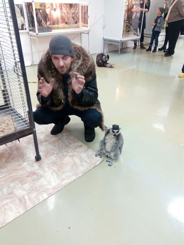 ���������� ������, ���� ������� ����, 44 ����, ������������ ��� ������, ����� � ���������, c�������� ���������