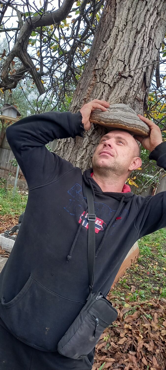 ���� 30588095 ������� ��������, 38 ���, ���� ���������� � �����