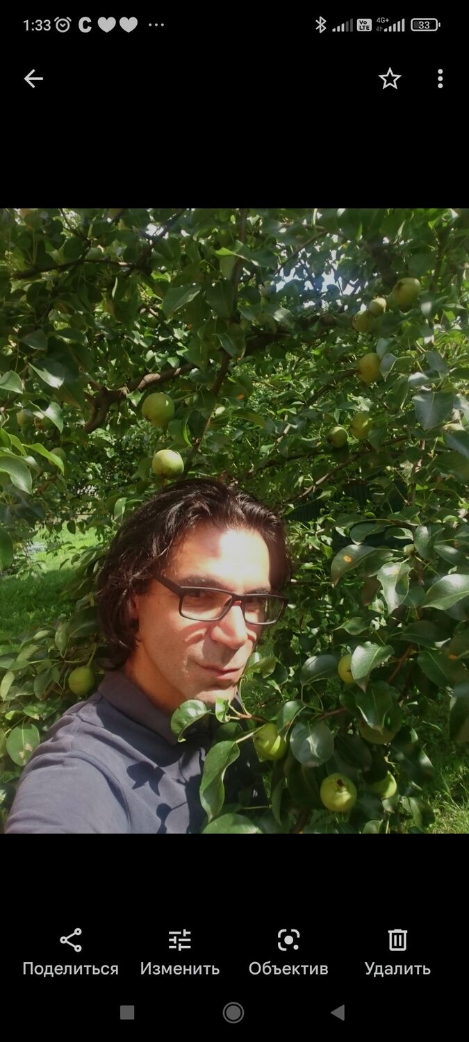 ���� 30959345 ������� Mangol, 36 ���, ���� ���������� � ������