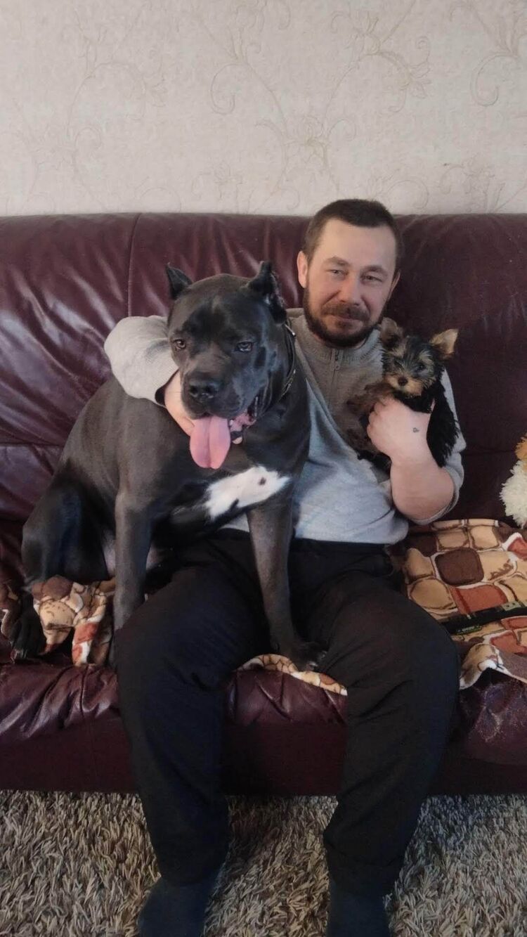 ���� 56185305 ������� �������, 44 ����, ���� ���������� � ������