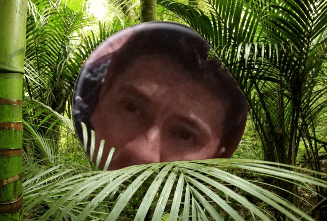 ���������� ������, ���� ������� ���������, 40 ���, ������������ ��� ������, ����� � ���������, c�������� ���������