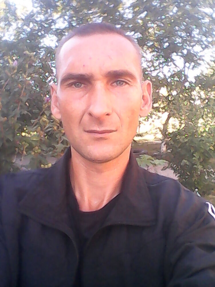  5816595  , 50 ,    