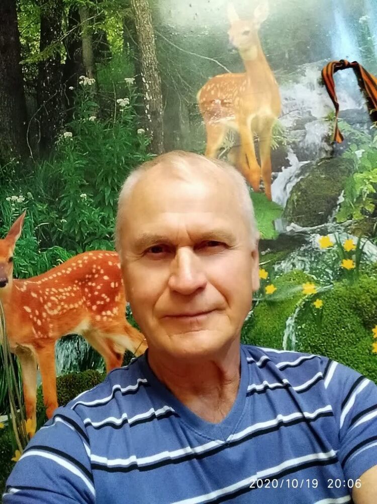 ���� 49709055 ������� �������, 65 ���, ���� ���������� � ����������