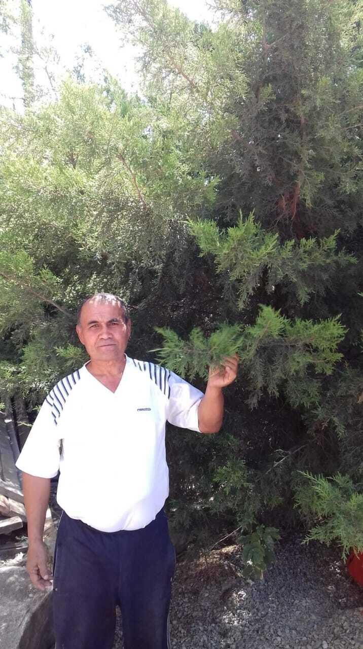  51513725  , 52 ,    -