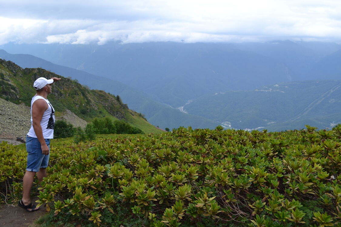 ���� 28334765 ������� Damir, 41 ���, ���� ���������� � ������ ���������