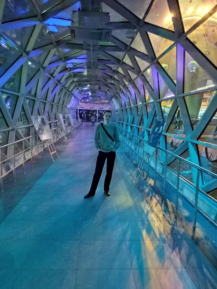 ���� 52049635 ����� ����, 19 ���, ���� ���������� � ������