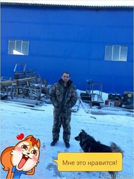 ���� 9591275 ������� ���������, 46 ���, ���� ���������� � �����