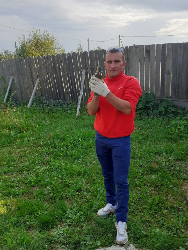 ���������� �������, ���� ������� ������, 38 ���, ������������ ��� c�������� ���������