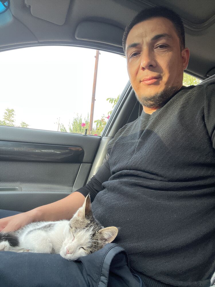 ���� 42883105 ������� �����, 41 ���, ���� ���������� � ��������