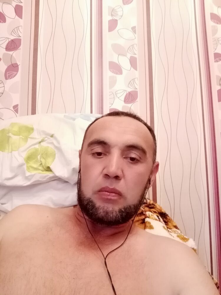  23239575  , 44 ,    