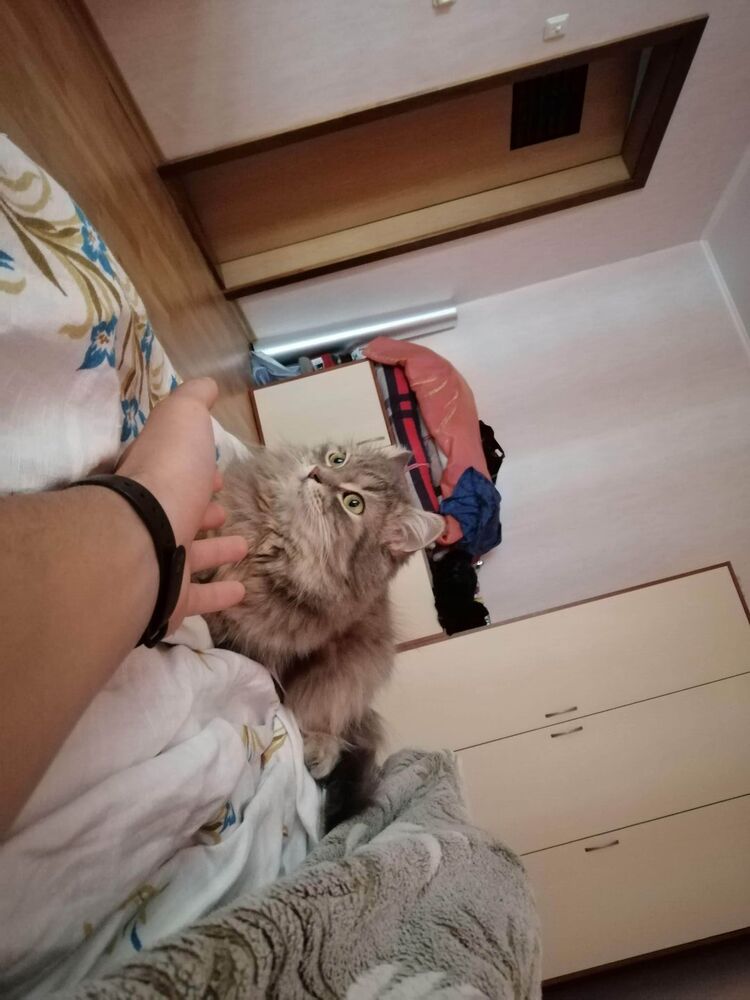  ,   , 29 ,   ,   , c 