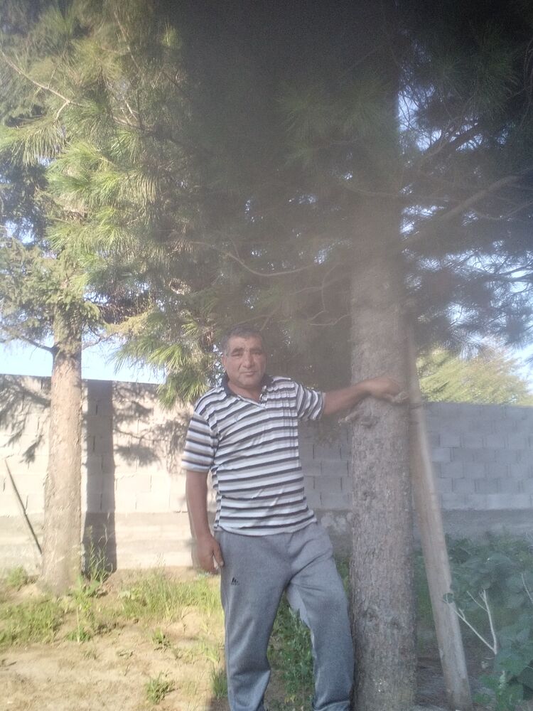  28865485  Artur, 60 ,    
