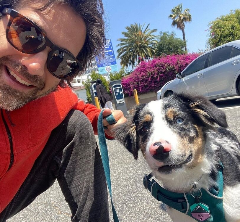 ���������� ������, ���� ������� ����, 40 ���, ������������ ��� ������, ����� � ���������