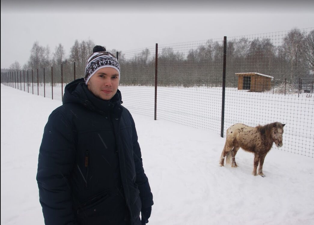  31229115  Dmitriy, 29 ,    -