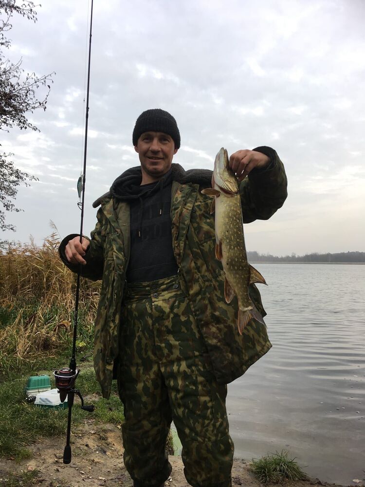 ���� 36374815 ������� �����, 46 ���, ���� ���������� � ������������