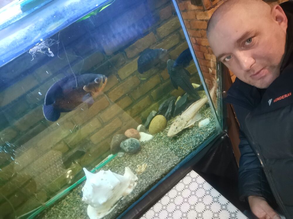 ���������� �����������, ���� ������� ���, 43 ����, ������������ ��� ������, ����� � ���������