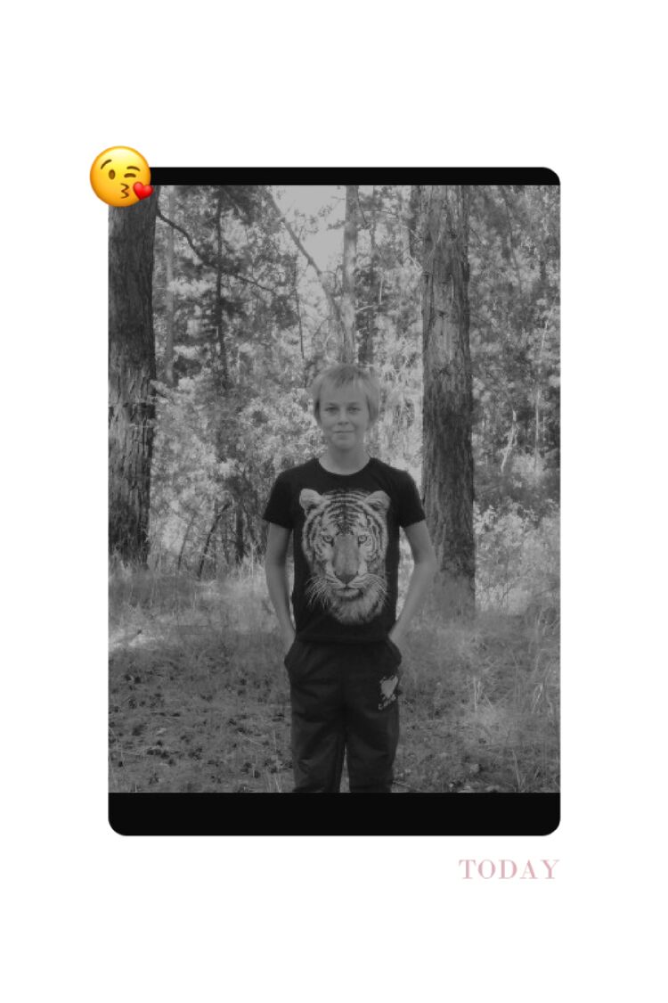  28274215  , 21 ,    