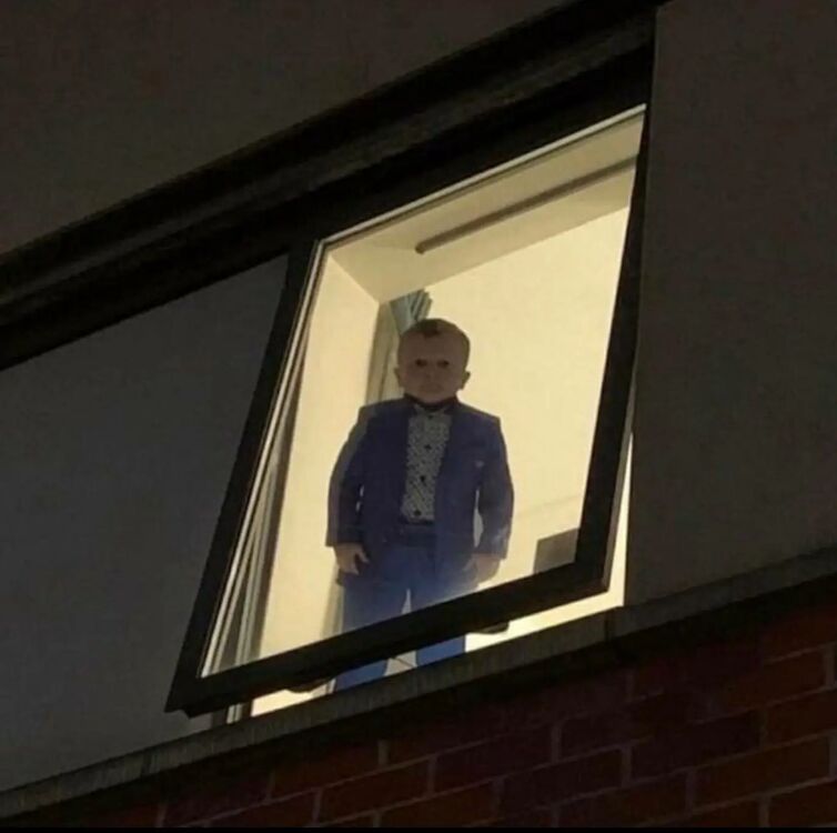 ���� 28986835 ������� ��� ��������, 30 ���, ���� ���������� � ����������