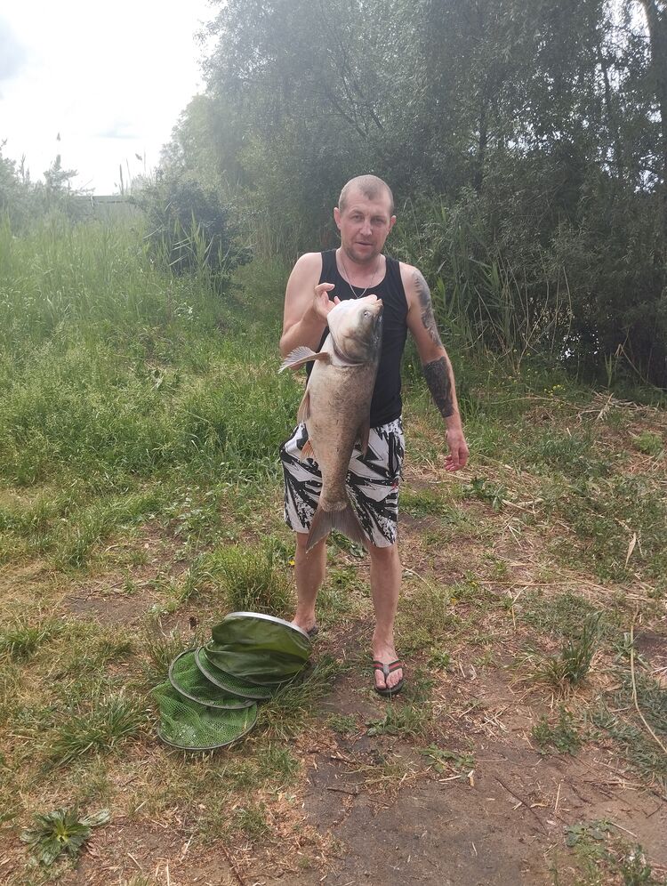 ���� 45771485 ������� �����, 38 ���, ���� ���������� � ��������